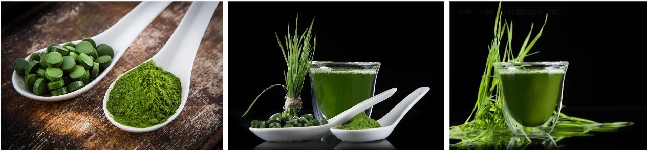 Benefits and effects of barley grass.jpg